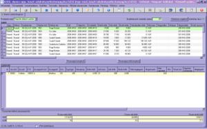 Kimenő számla böngésző munkafüzet