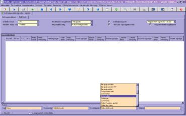 táblázatos rögzítés/további szűrési lehetőségek