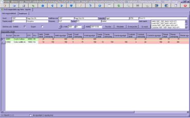 érvényesített megrendelés